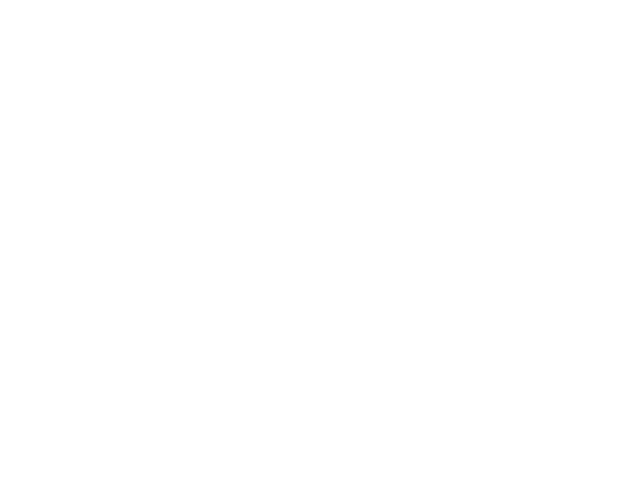 White2020_BurstDFWLogo.png.png